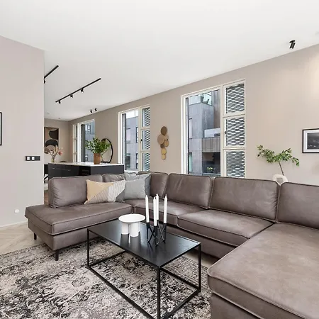 Desirable Penthouse In Reykjavik